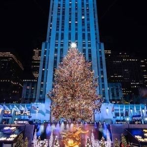 Meet your Posher, Tao